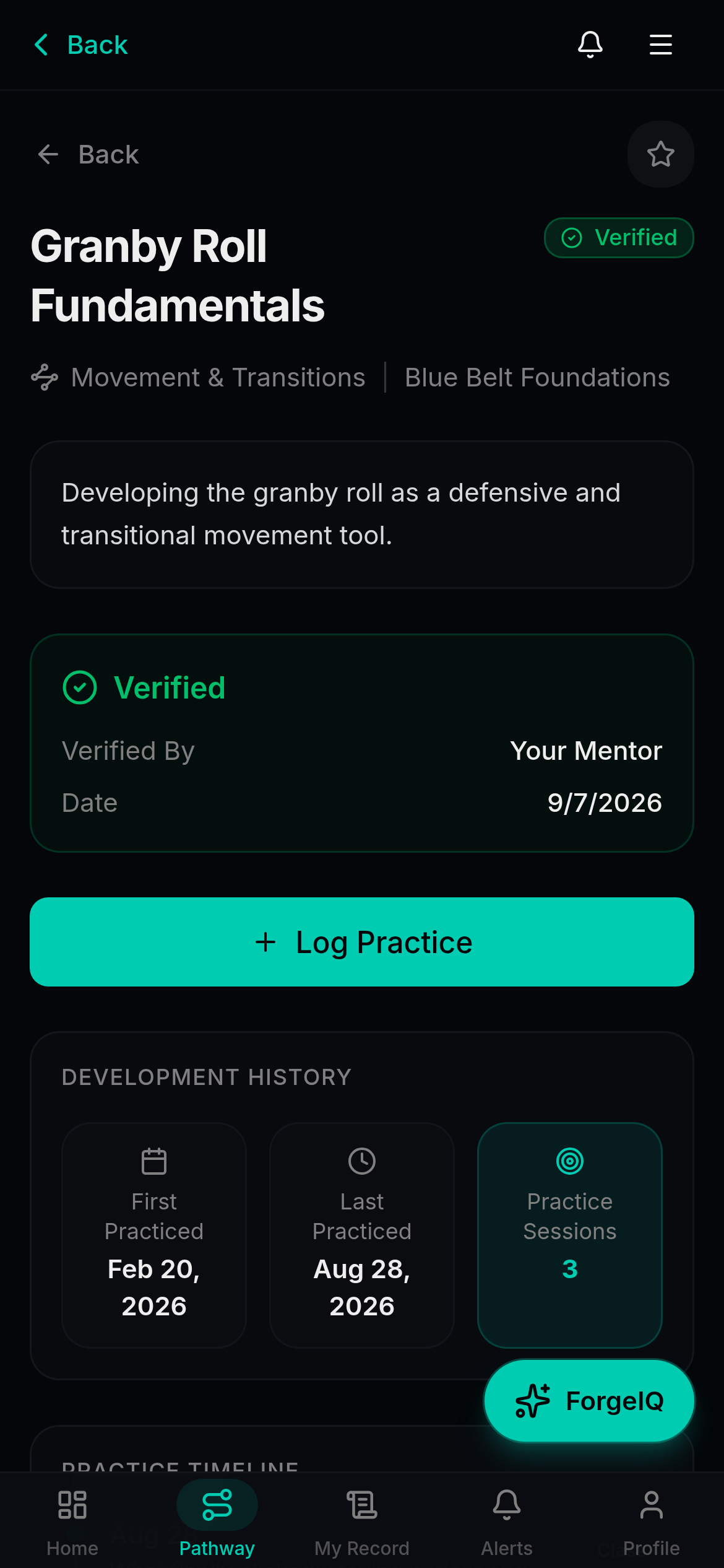 Forgement verified skill detail with mentor comment, development history, and practice timeline
